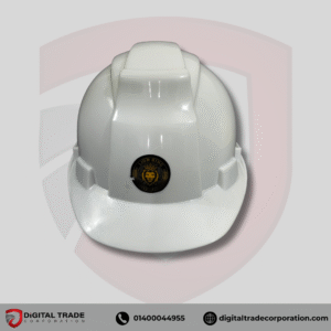 Lion King Safety Helmet