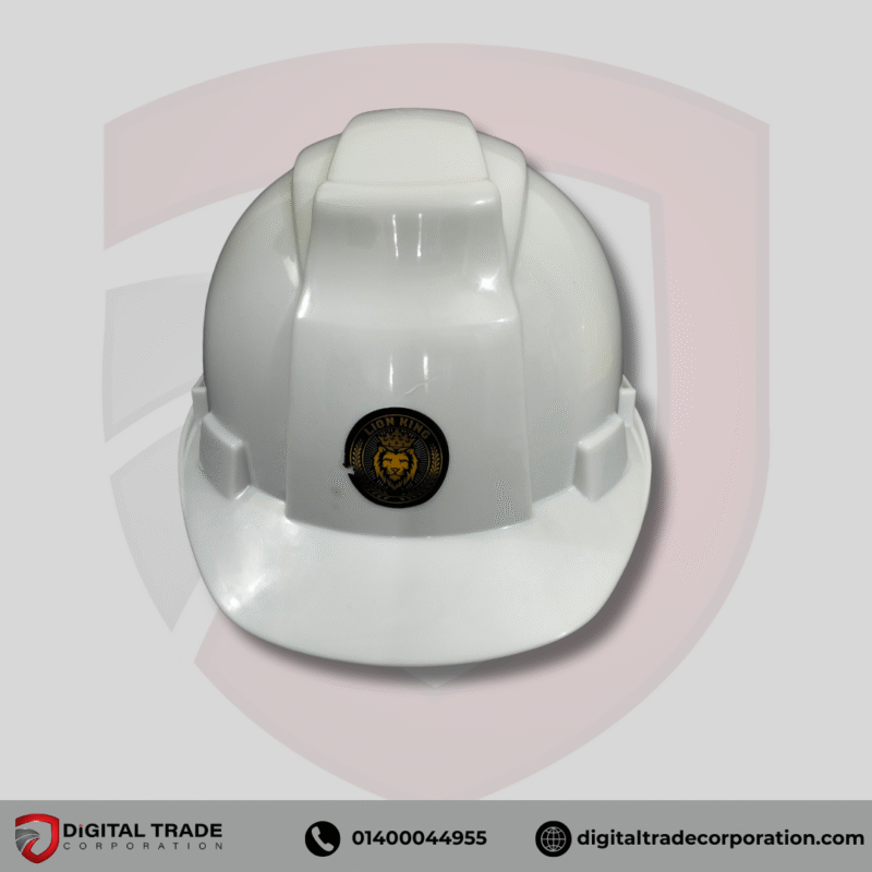 Lion King Safety Helmet